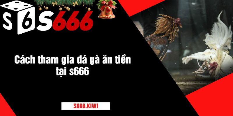 Cách tham gia đá gà ăn tiền tại s666