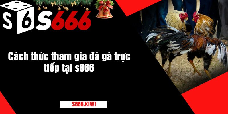 Cách thức tham gia đá gà trực tiếp tại s666