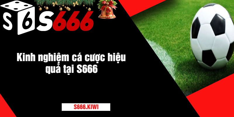 Kinh nghiệm cá cược hiệu quả tại S666