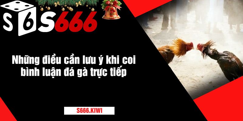 Những điều cần lưu ý khi coi bình luận đá gà trực tiếp