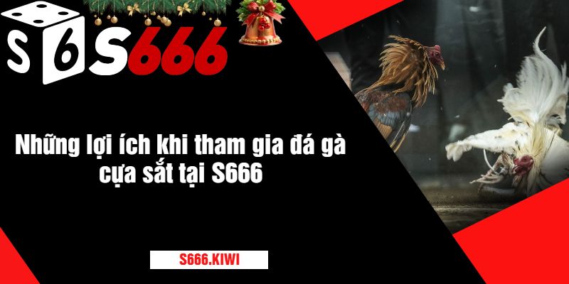 Những lợi ích khi tham gia đá gà cựa sắt tại S666