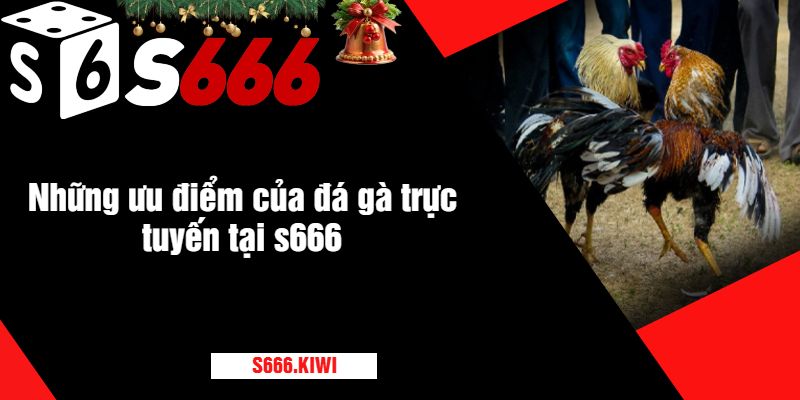 Những ưu điểm của đá gà trực tuyến tại s666