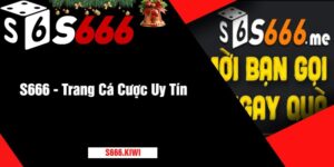 S666 - Trang Cá Cược Uy Tín