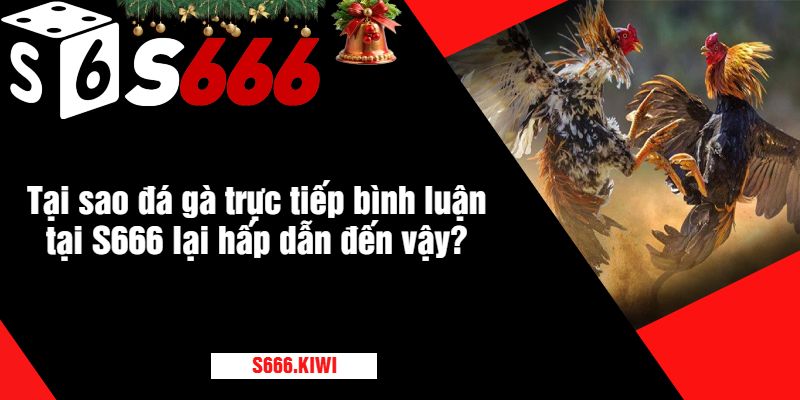 Tại sao đá gà trực tiếp bình luận tại S666 lại hấp dẫn đến vậy?