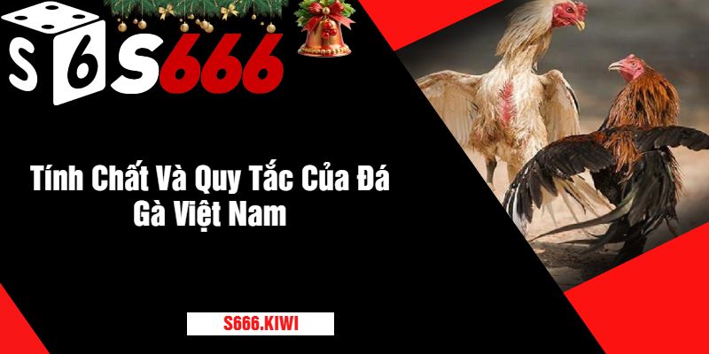 Tính Chất Và Quy Tắc Của Đá Gà Việt Nam