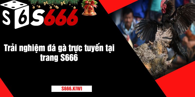 Trải nghiệm đá gà trực tuyến tại trang S666