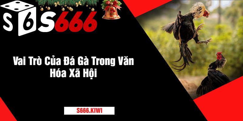 Vai Trò Của Đá Gà Trong Văn Hóa Xã Hội