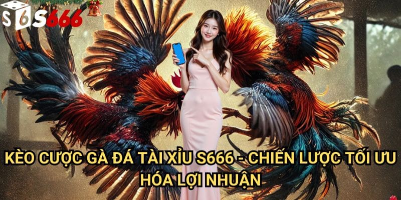 Kèo cược gà đá tài xỉu S666: Phương pháp phân tích và chiến thuật đặt cược hiệu quả 3 Kèo cược gà đá tài xỉu S666 - Chiến lược tối ưu hóa lợi nhuận